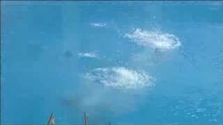 Diving  Womens Synchronised 3M Springboard Final  Beijing 2008 Summer Olympic Games [upl. by Jonell]