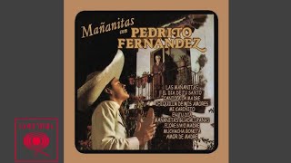 Pedrito Fernández  Las Mañanitas Cover Audio [upl. by Ydieh729]