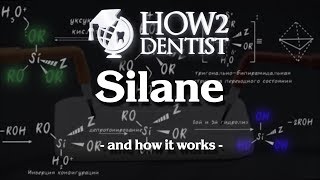 How silane works  How to Dentist [upl. by O'Neil]