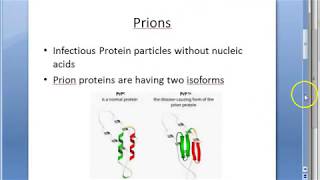 Microbiology 551 b Prion Disease PrPSc Protein Scrapie Sheep Kuru CJD Spongiform encephalopathy [upl. by Einnep993]