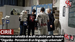 CIRIÈ  Interesse e curiosità per la mostra quotOrganika  Percezioni di un linguaggio universalequot [upl. by Ecirp]