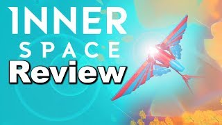 InnerSpace Review [upl. by Eseerehs]