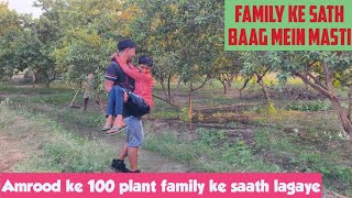 Family Ke sath amrood ke baag mein masti guava family masti picnic amrood guavafarming [upl. by Avah]