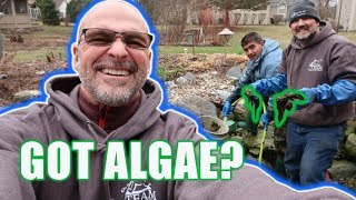 How to Control Algae Growth in Ponds [upl. by Haveman]