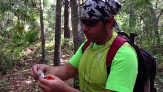 Geocaching in Ocala National Forest [upl. by Raimundo]