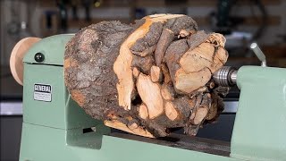 Stunning Tree Root Woodturning Creation [upl. by Anaxor]