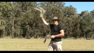 how to throw a boomerang easy to follow step by step [upl. by Eirrod]