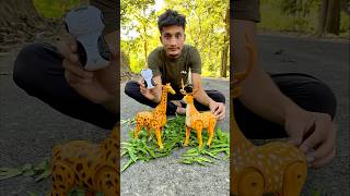 Rc Remote Control Two Giraffe 🦒 vs Deer ki testing 😜 [upl. by Rori]