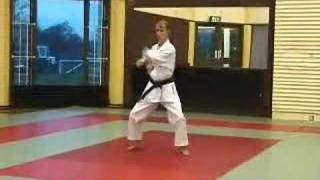 Wado Ryu Karate Kata Wanshu [upl. by Prichard]