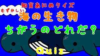 【0～6歳】【赤ちゃん、子供喜ぶ】ちがうのどれだ？「海の生き物」少しむずかしい【baby rejoice】Quiz「sea creatur」 [upl. by Amein862]