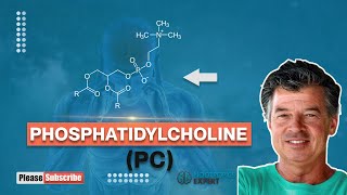 Phosphatidylcholine [upl. by Thetos]