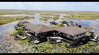 Airboat Ride Area 2 Everglades Gators and Turtles…8622 [upl. by Delphina925]