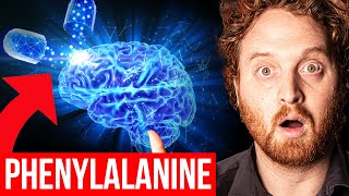 Your Brain On Phenylalanine [upl. by O'Neill]