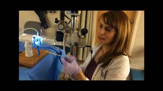 How to Perform a Loop Electrosurgical Excision Procedure LEEP [upl. by Hildegaard340]