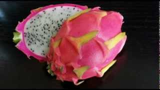 Dragon Fruit  Pitaya 01 [upl. by Hecklau]