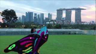 Kite Flying in Singapore  Marina Barrage [upl. by Matusow948]