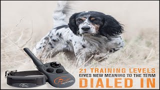 Shock collars for dogs  SportDOG Brand 425X Remote Trainers  500 Yard Range ECollar with Static [upl. by Eehc]