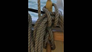 Rope One of Humanity’s Oldest Inventions shorts [upl. by Navets]