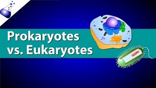 Prokaryotic Vs Eukaryotic Cells [upl. by Ron524]