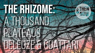 The Rhizome  A Thousand Plateaus Deleuze and Guattari [upl. by Euqinad]