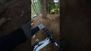 The Greatest Bike Park for a reason [upl. by Odlareg]