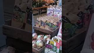 Amsterdam big flowers market travelvlog travelphotography travel travelling travelblogger [upl. by Gobert246]