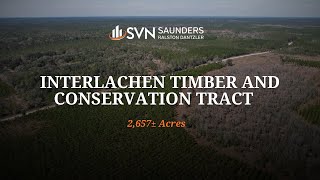 Florida Timber Tract For Sale  Interlachen Timber and Conservation Tract  2657 ± AC  Palatka FL [upl. by Haron]