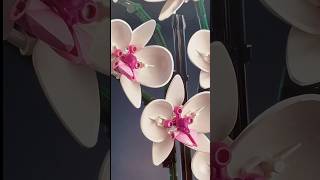 Beautiful orchid lego satisfying to play with family or friends lego orchid flowers viral [upl. by Durkin181]