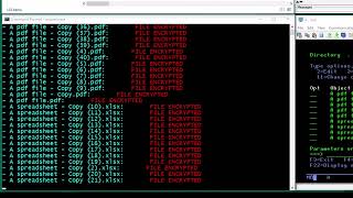 Powertech PTAV Ransomware [upl. by Hodgkinson618]