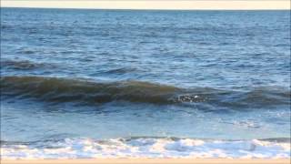 Reading the Beach  Understanding Waves amp Wave Action [upl. by Kenwrick690]