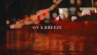 JJ Grey amp Mofro  On A Breeze Official Lyric Video [upl. by Clareta]