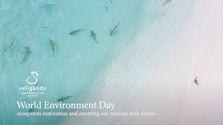 Celebrating World Environment Day 2021  Veligandu Island Resort amp Spa  Maldives [upl. by Ailesor]