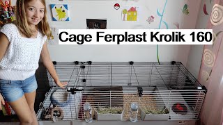 New cage Ferplast Krolik 160 for my guinea pigs Flowy and Aira  from Zoomalia [upl. by Sheffie]