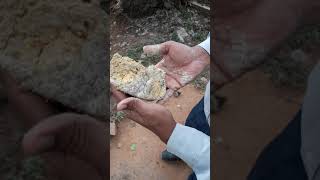 Geology Saprolite [upl. by Palestine]