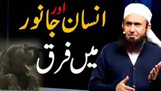 Insan or Janwar ma fark Molana Tariq Jameel emotional byan Zindagi badal dana wala byan [upl. by Mareld]