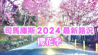 【新竹景點】上帝的部落「司馬庫斯」2024 最新路況，櫻花盛開🌸 Smangus Hsinchu Taiwan [upl. by Hertha]