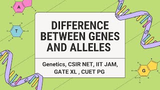 Difference between Genes and Alleles csirnet iit jam  gate  CUET PG Genetics Genes Alleles [upl. by Atniuq]