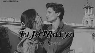 TU JO MILEYA 💗🥀 ll Slowed  Reverb ll OPLOFISONG1 [upl. by Samid]