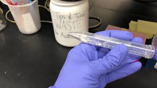 Pulverizing Magnaporthe oryzae mycelium for DNA extraction [upl. by Sidonius169]