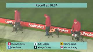 Crayford Greyhounds Races on 9th November 2024 [upl. by Holland41]