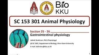 Gastrointestinal physiology ตอนที่ 1 [upl. by Hidie436]