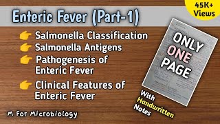 Enteric fever part1  Typhoid  Salmonella Typhi amp Paratyphi  Pathogenesis  Clinical features [upl. by Asle302]