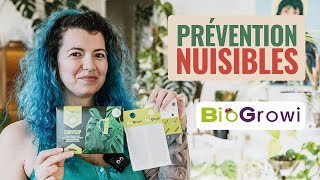 🐜 Prévention contre les nuisibles sur mes plantes avec Biogrowi 🌱 [upl. by Behrens623]