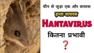 HantaVirus  Orthohanta Virus  What Is HantaVirus [upl. by Gib348]