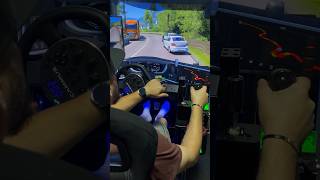 Oprit de Politie nextlevelracing NextLevelRacing eurotrucksimulator2 citycardriving [upl. by Conan826]