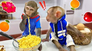 BIMBIM Monkey gathered fruit and made egg noodles for OBI MORE  Baby Monkey BIMBIM [upl. by Heck]