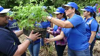 Jornada de Reforestación SIP 2019 [upl. by Otreblaug737]