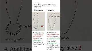 How monogenea differs from digeneazoologyshorts ADSBs [upl. by Lewison735]