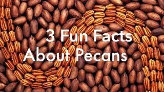 3 Fun Facts About Pecans [upl. by Nnylarej]