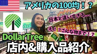 【🇺🇸アメリカの100均的存在】1ストアDollar Treeの店内と購入品を紹介します 115 [upl. by Stanwood]